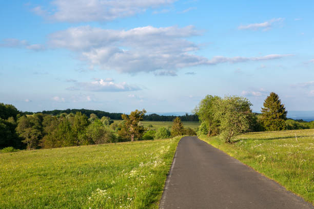 istock panoramic view of green fields and meadows and a small road 1250472582