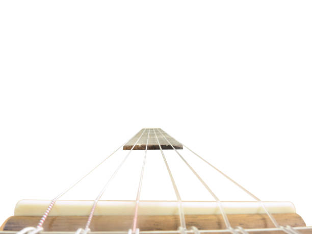 acoustic guitar neck with strings isolated on white - nylon strings imagens e fotografias de stock