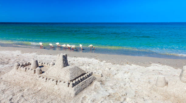 Sand sculptures, a flock of white Ibis, and footprints in the sand overlooking the beautiful turquoise Gulf of Mexico waters under a blue Florida sky is the classic Florida Vacation scene Sand sculptures, a flock of white Ibis, and footprints in the sand overlooking the beautiful turquoise Gulf of Mexico waters under a blue Florida sky is the classic Florida Vacation scene clearwater stock pictures, royalty-free photos & images