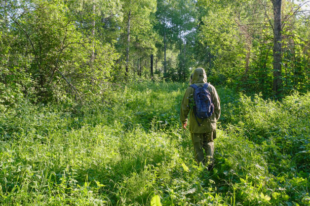 istock Active man in mosquito suit with backpack in hiking in a siberian forest, Russia. 1250482636