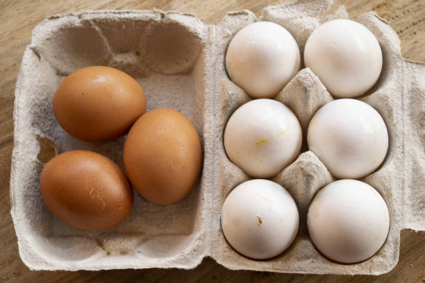 istock organic eggs in the special containers 1250485053