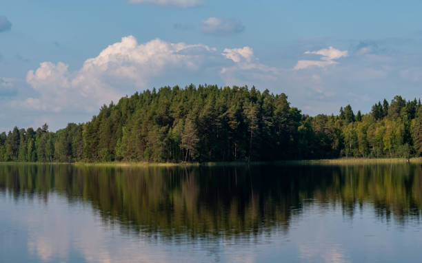 istock forest reflected in the water on a sunny summer day 1250485606