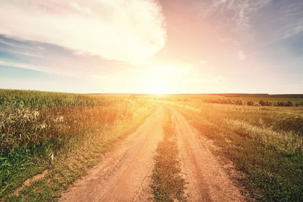 istock Sunset rural farm meadow horizon view 1250485676