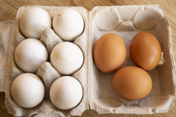 istock organic eggs in the special containers 1250486746