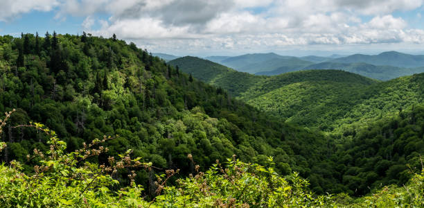 istock Appalachian Mountain View Along the Blue Ridge Parkway 1250487857