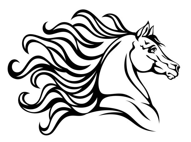 Black horse head Black horse head on a white background colts stock illustrations