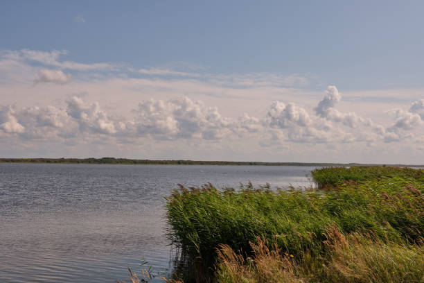 istock Peaceful Liepaja Lake in summer 1250489923