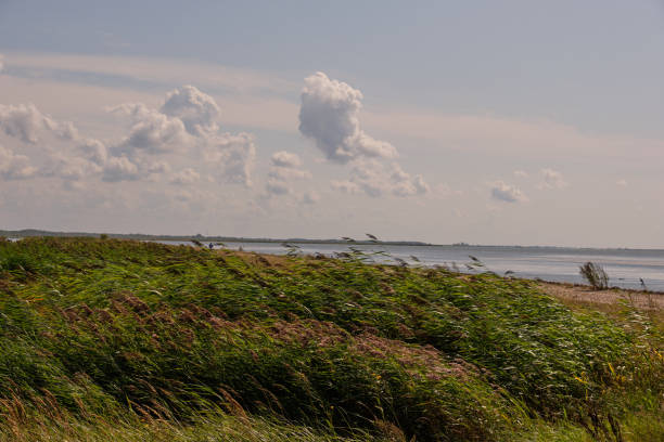 istock Peaceful Liepaja Lake in summer 1250490009