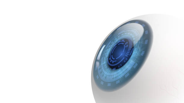 Robot or human eyeball Robot or human eyeball close-up with blue pupil scanning an eye on a white background human eye stock illustrations