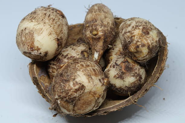 istock Taro or Colocasia esculenta on isolated white background 1250493033