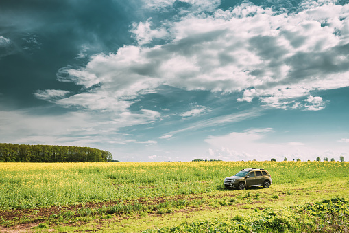 Gomel, Belarus - May 11, 2019: Renault Duster Suv In Spring Rapeseed Field Countryside Landscape. Duster Produced Jointly By French Manufacturer Renault And Its Romanian Subsidiary Dacia