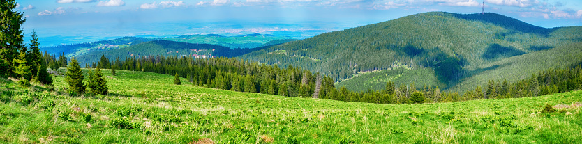 Panoramic view of the Gaujoara glade, Cindrel mountains, Romania, 1600m.