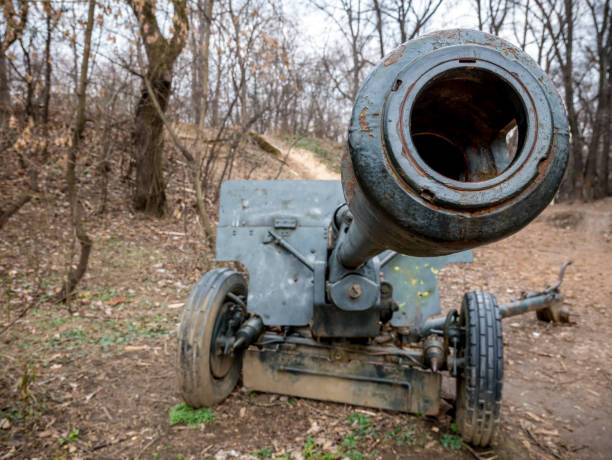 istock Rusty old canon used in the world war II, in a forest. 1250499355