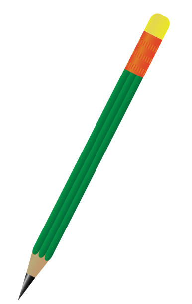 ilustrações, clipart, desenhos animados e ícones de um lindo vetor de lápis 3d - pencil symbol close up vertical