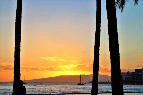 istock Waikiki Beach at sunset Hawaii 1250504544