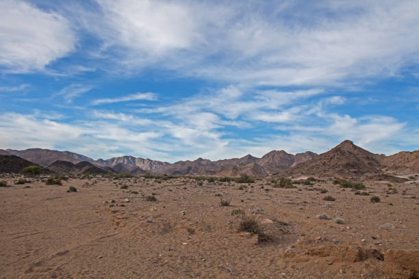 scena pustynnej góry w parku narodowym richtersveld 3896 - richtersveld national park zdjęcia i obrazy z banku zdjęć