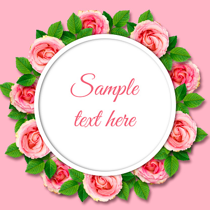 Vintage frame of pink roses with leaves on a pink background. Flowers are located under the 3d circle. Bright natural background for design. Greeting card.