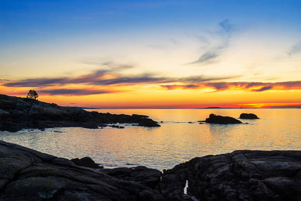 istock Rocky coast at golden dusk 1250511923