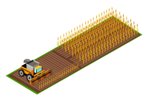 kombajn zbierający pszenicę na polowym wektorze - isometric combine harvester tractor farm stock illustrations