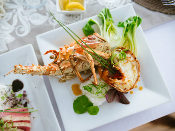 Plated lobster over rice on white luxury plate Plated lobster over rice on white luxury plate lobster seafood photos stock pictures, royalty-free photos & images