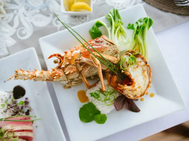 Photo of Plated lobster over rice on white luxury plate