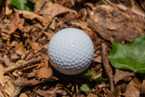 istock White golf ball lost in the woods 1250518073
