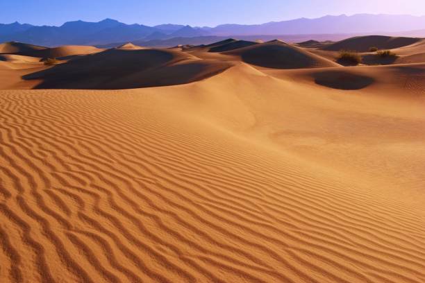 mesquite flat sand dunes, paisaje desértico, valle de la muerte, california usa - parque nacional death valley fotografías e imágenes de stock