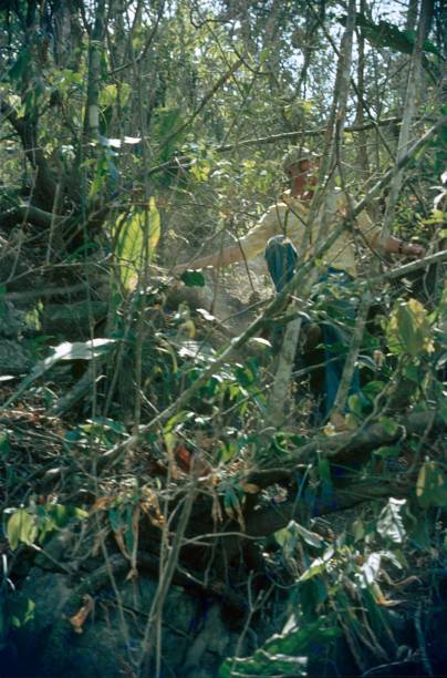 istock In the rainforest of Mexico 1250525598