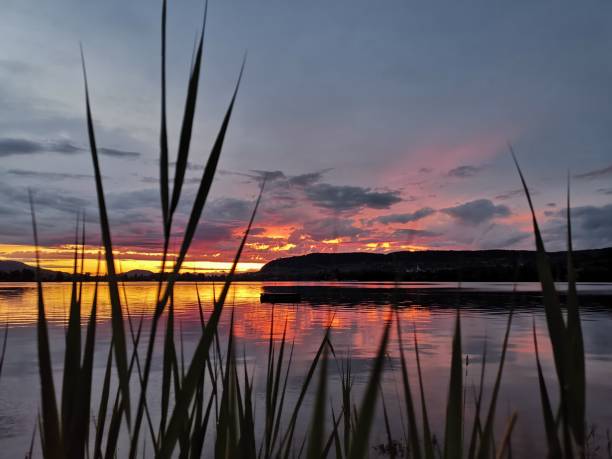 istock Sunset with colorful clouds and a reflection on the water. 1250525952