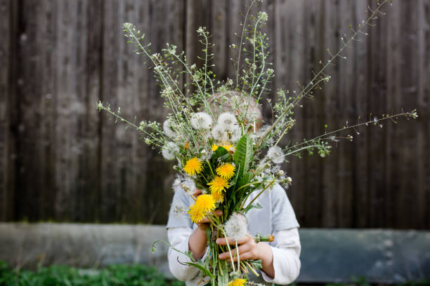 dziecko trzyma bukiet dzikich kwiatów przed twarzą - flower spring bouquet child zdjęcia i obrazy z banku zdjęć