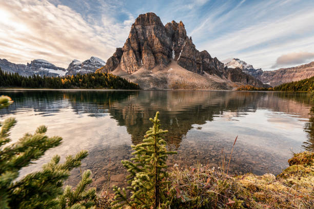 istock Rocky mountain with pine tree reflection on Cerulean lake in Assiniboine provincial park 1250527933