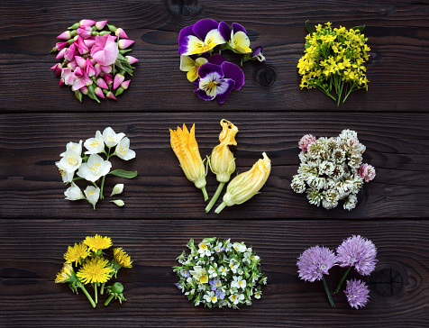 Edible flowers on a dark wooden board. Fresh plants collection for culinary and herbal medicine. Top view.