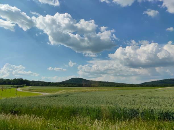 istock Franconian landscape against blue sky 1250535948