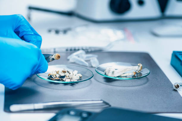 istock Laboratory Experiment, Preparing Micro Doses Psilocybin, a Derivative from of Magic Mushrooms 1250536718