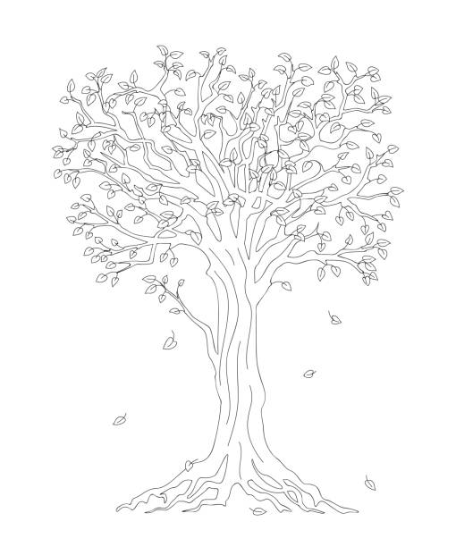 illustrazioni stock, clip art, cartoni animati e icone di tendenza di albero con caduta giù foglie contorno nero - autumn tree root forest