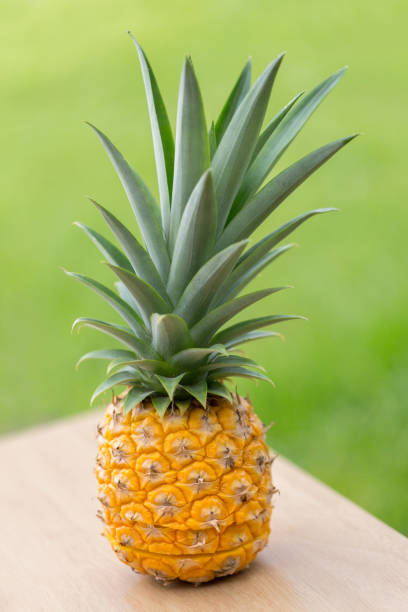 istock Homegrown Pineapple Outside on Green background 1250539552