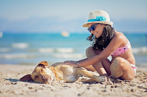 Little girl is stroking her sleeping dog on the beach