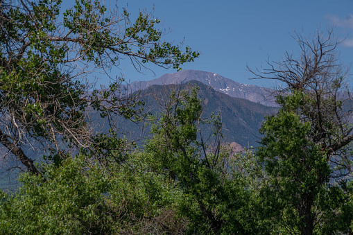 Summertime view of Pikes Peak