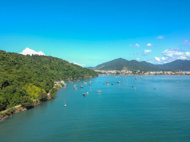 istock Aerial view of the beach 1250554328