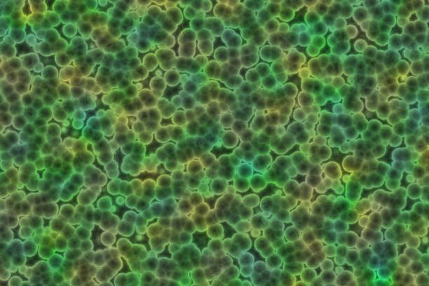 istock nice design big amount of organic bacteria computer graphics background or texture illustration 1250555771