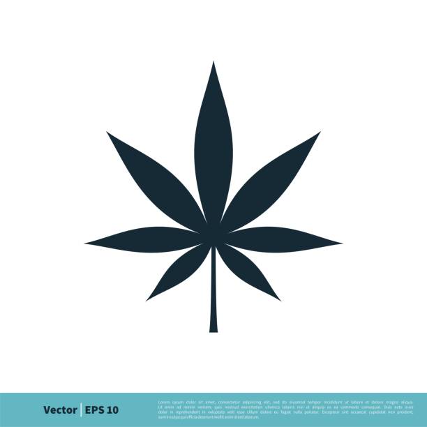 illustrazioni stock, clip art, cartoni animati e icone di tendenza di hemp / marijuana leaf icon vector logo template illustration design. vettore eps 10. - weeding