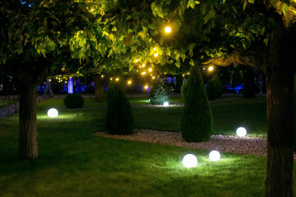 istock illumination backyard light garden with electric ground sphere lantern with stone mulch and thuja bush in outdoor landscaping park with garland of warm light bulbs, dark illuminate night scene nobody. 1250557247