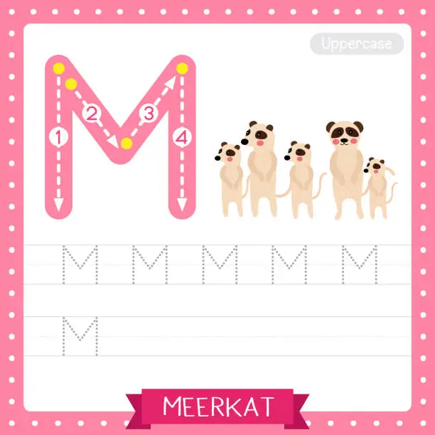 Vector illustration of Letter M uppercase tracing practice worksheet of Standing Meerkat family group