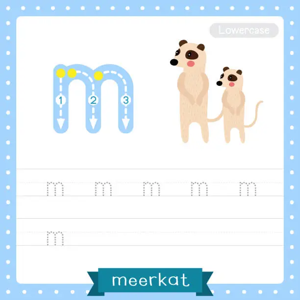 Vector illustration of Letter M lowercase tracing practice worksheet of Standing Meerkat