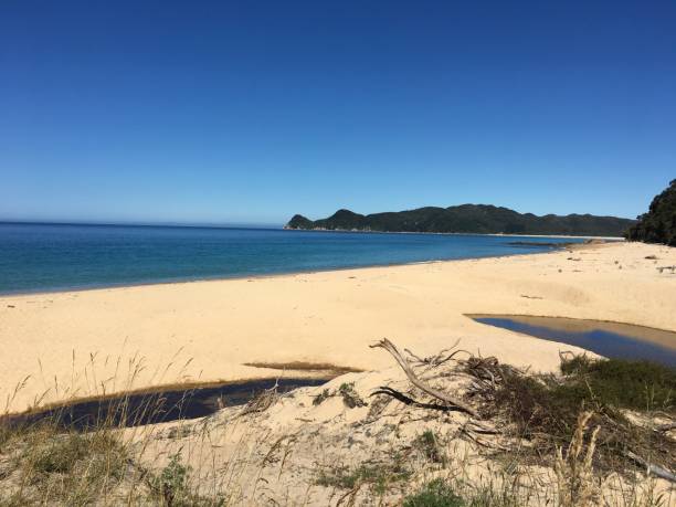 istock abel tasman and sand 1250562842