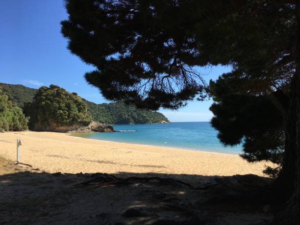 istock abel tasman mutton cove campsite 1250562850