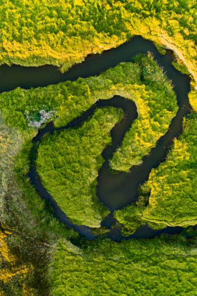 istock Aerial image of sustainable development. 1250567388