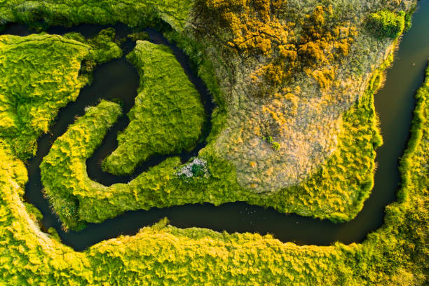 istock Aerial image of sustainable development. 1250567394