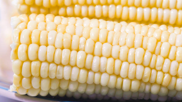 gekochter süßer weißer mais auf dem stock aus nächster nähe - corn on the cob corn crop macro close up stock-fotos und bilder