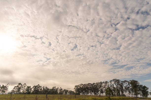 istock Cumulonimbus clouds. Rural landscape 1250572421